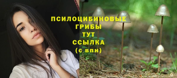 соль курить ск Дмитровск