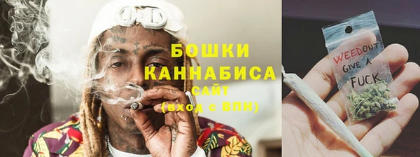мдпв Гусь-Хрустальный